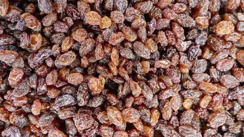 خرید اهمیت کشمش در اقتصاد ایران با قیمت استثنایی
