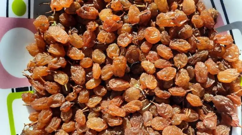 راهنمای خرید خواص انواع کشمش + قیمت عالی